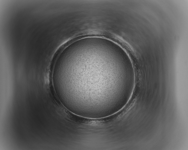 X0000102461166200808151401