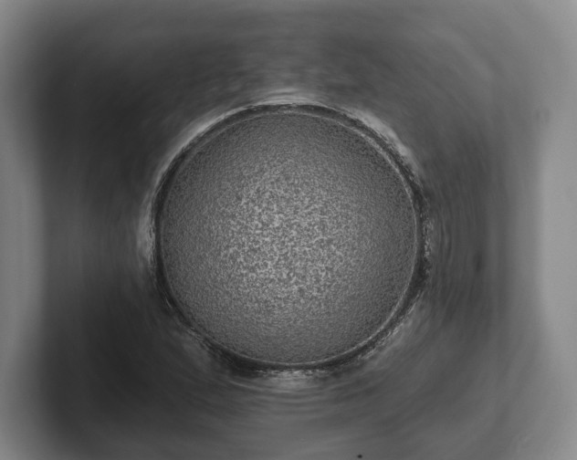 X0000102461167200808151401