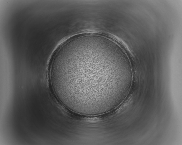 X0000102461168200808151401