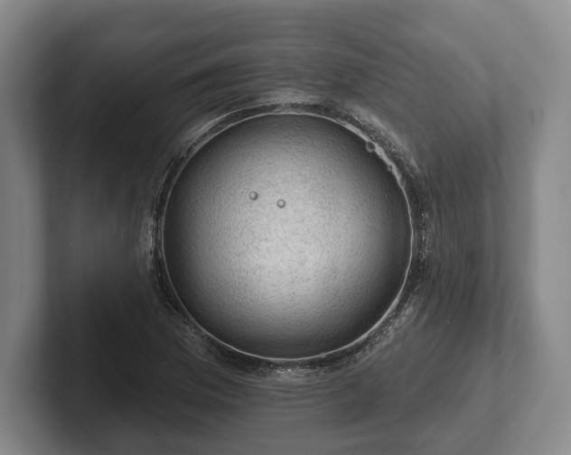 X0000102461169200808151401