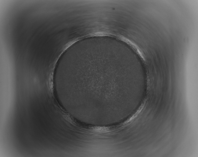 X0000102461170200808151401