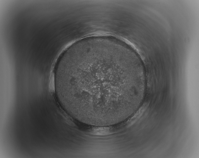 X0000102461171200808151401