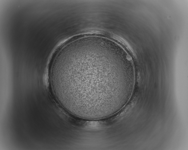 X0000102461172200808151401