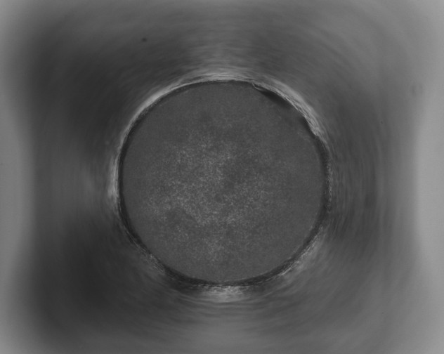 X0000102461174200808151401