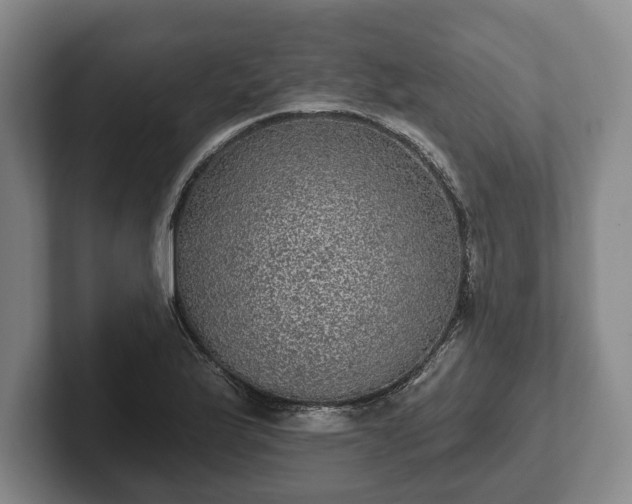 X0000102461175200808151401