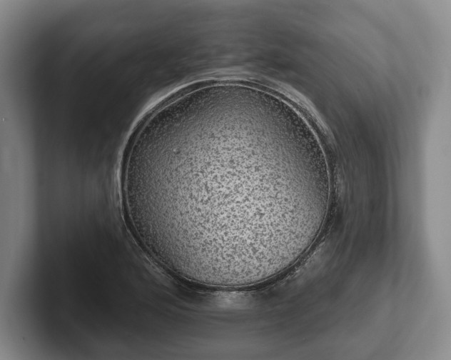 X0000102461176200808151401