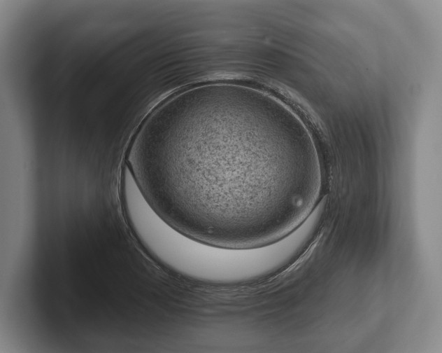 X0000102461177200808151401