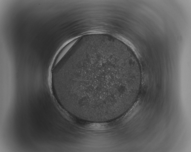 X0000102461179200808151401