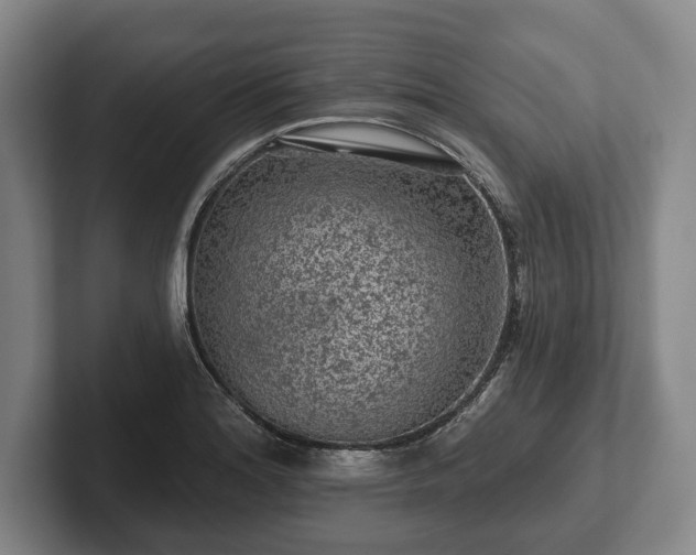 X0000102461180200808151401