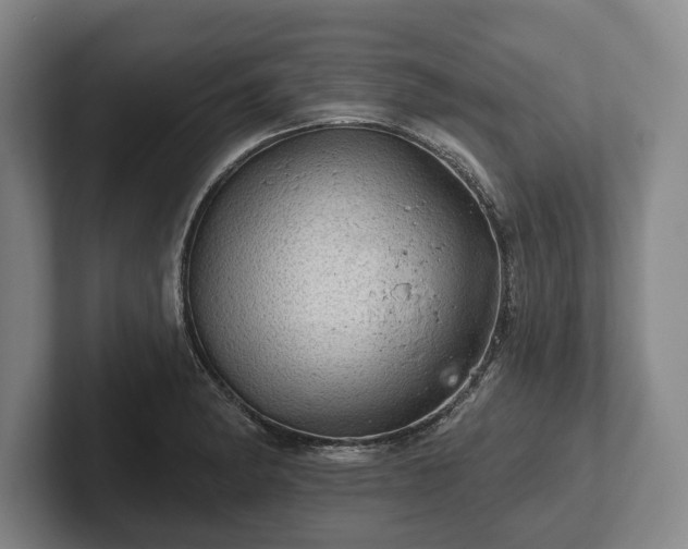 X0000102461182200808151401