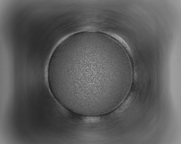 X0000102461183200808151401