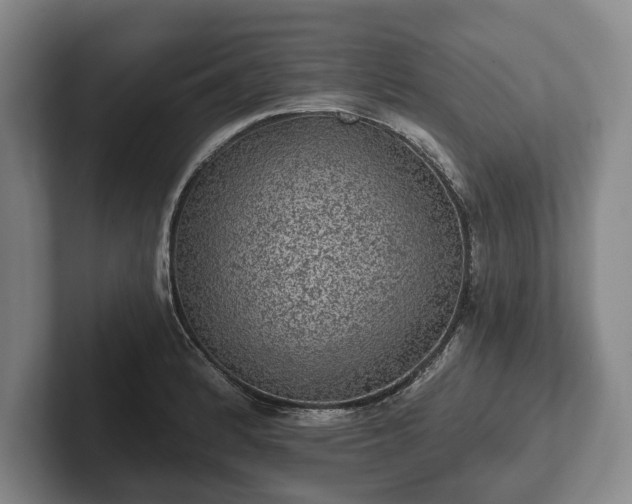 X0000102461184200808151401