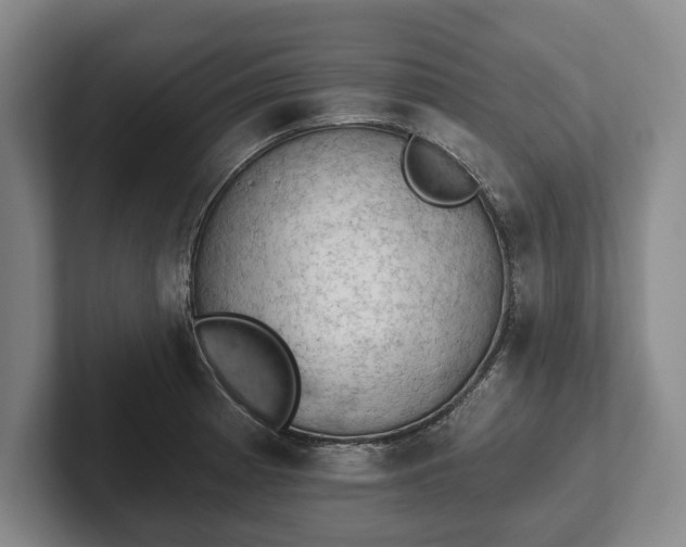 X0000102461185200808151401