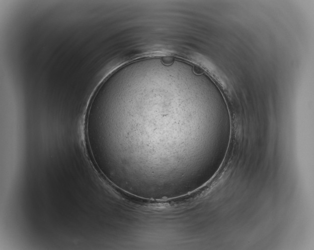 X0000102461186200808151401