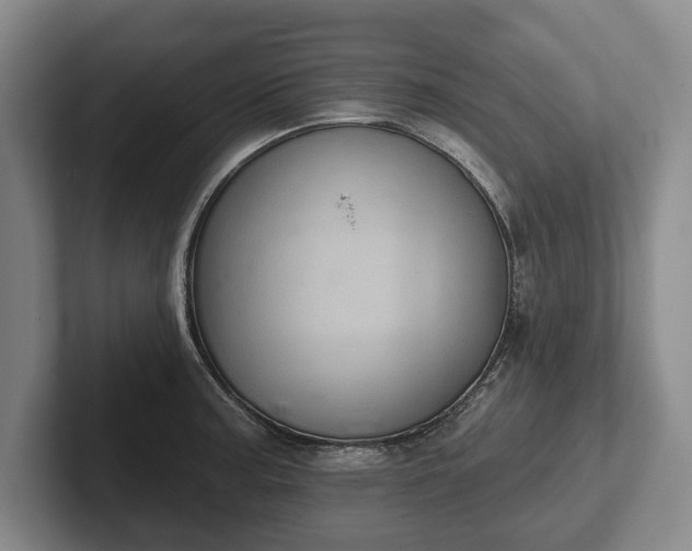 X0000102461187200808151401