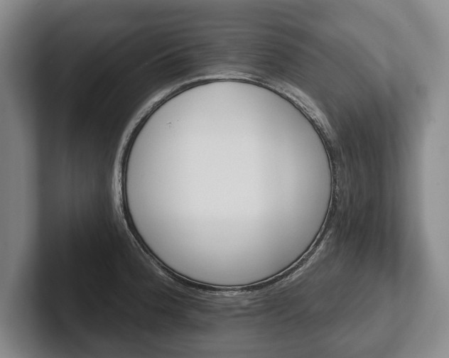 X0000102461188200808151401