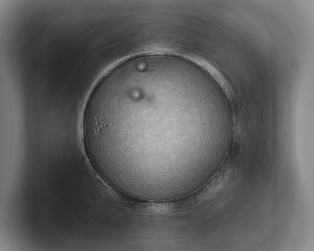 X0000102461191200808151401