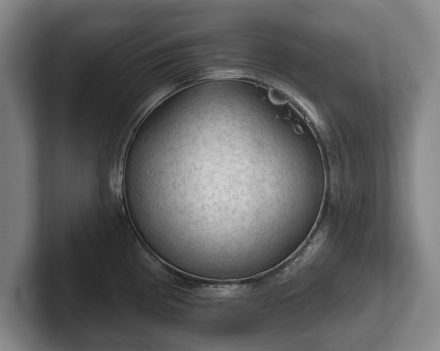 X0000102461193200808151401