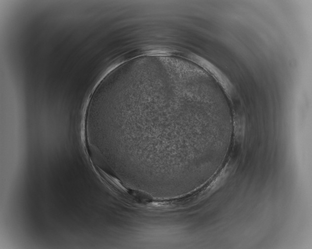 X0000102461194200808151401