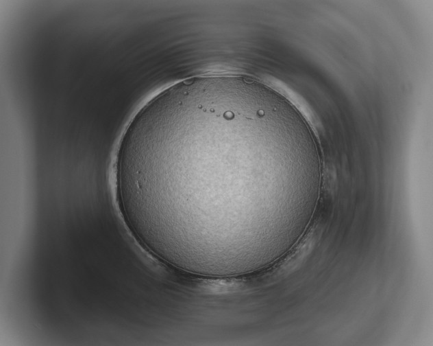 X0000102461195200808151401