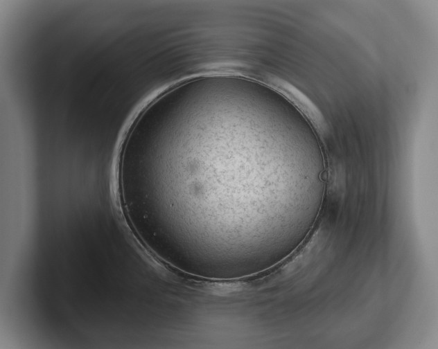 X0000102461196200808151401