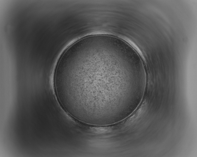 X0000102461197200808151401