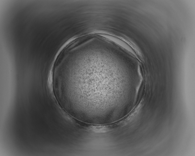 X0000102461198200808151401