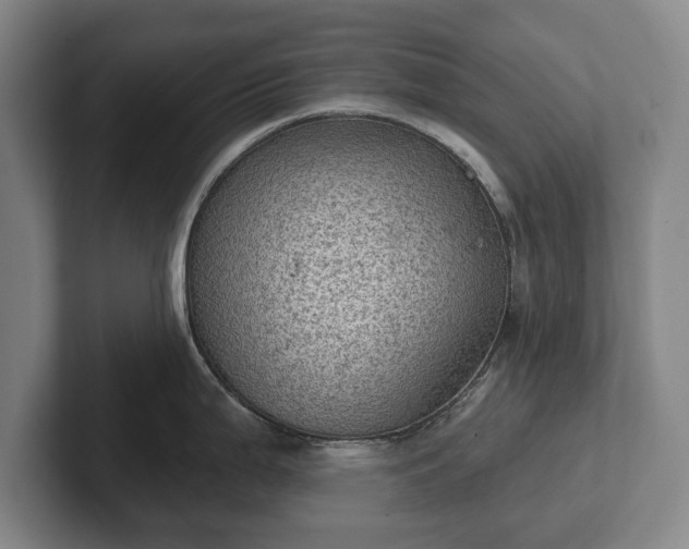 X0000102461199200808151401