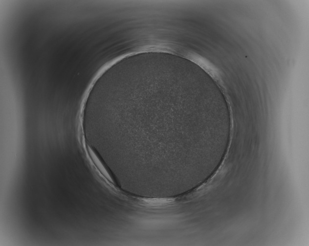 X0000102461200200808151401