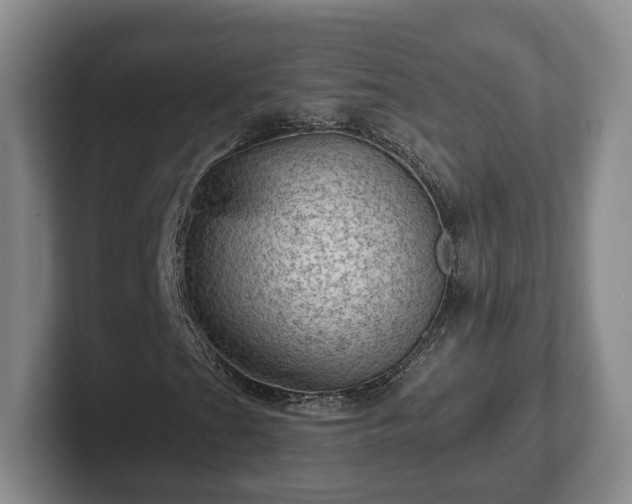 X0000102461201200808151400