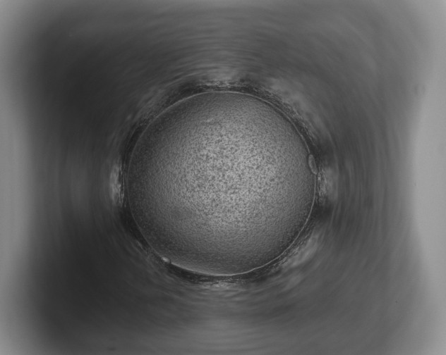 X0000102461202200808151400