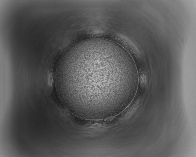 X0000102461204200808151400