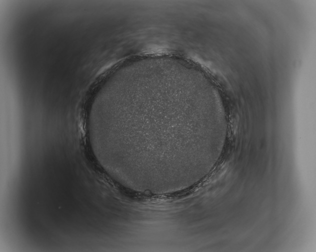 X0000102461206200808151400