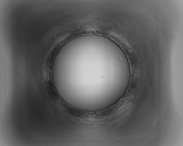 X0000102461207200808151400