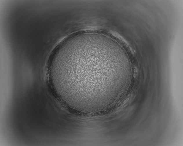 X0000102461208200808151400