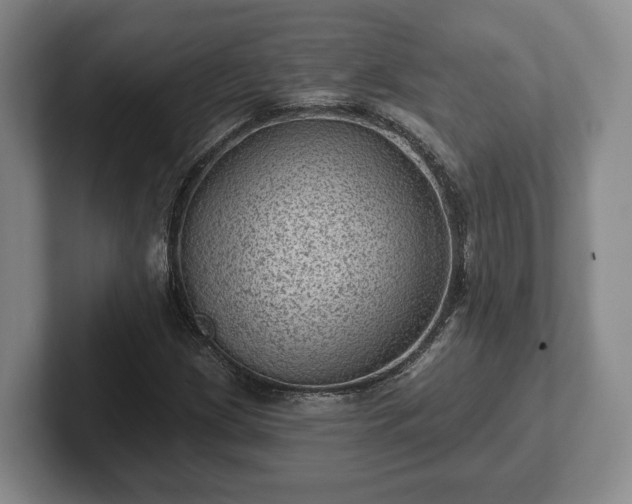 X0000102461209200808151400