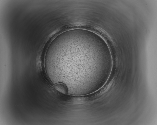 X0000102461210200808151400