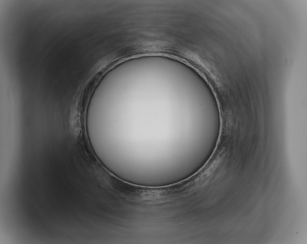 X0000102461211200808151400