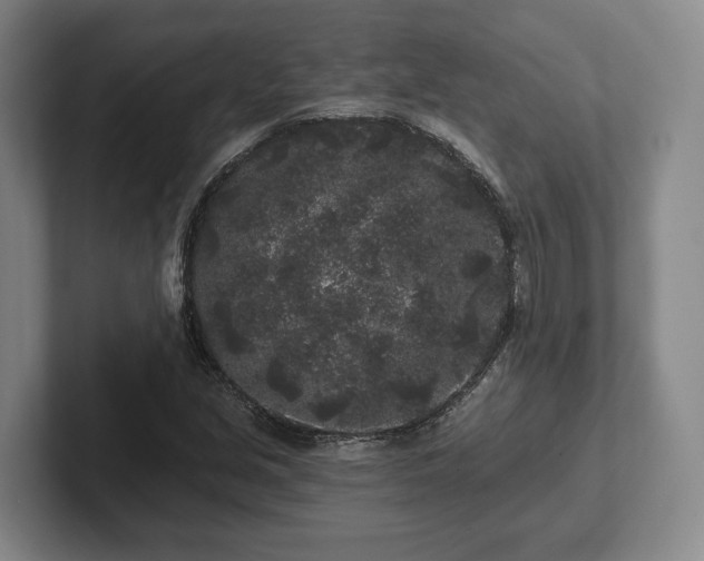 X0000102461213200808151400