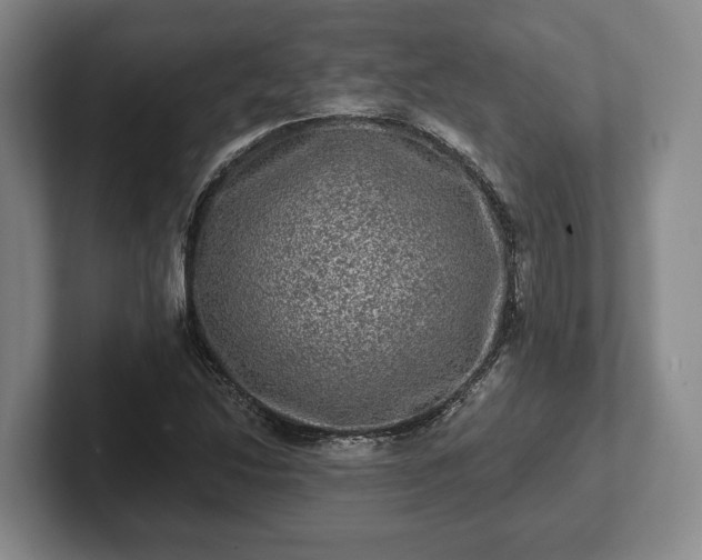 X0000102461214200808151400