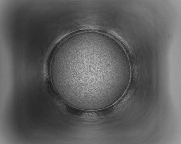 X0000102461215200808151400