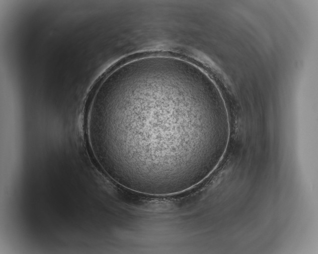 X0000102461216200808151400