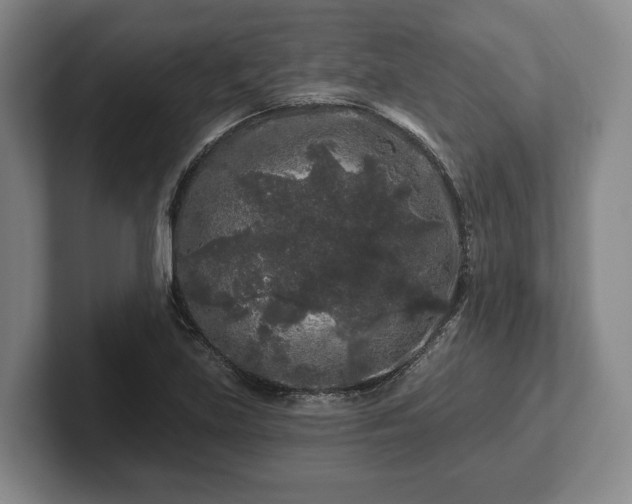 X0000102461219200808151400