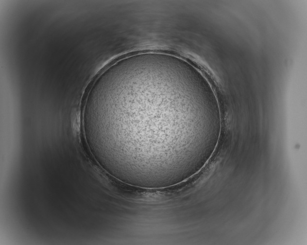 X0000102461220200808151400