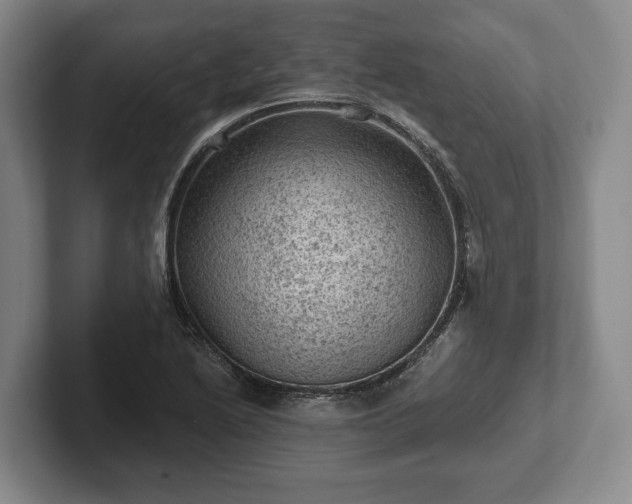 X0000102461222200808151400