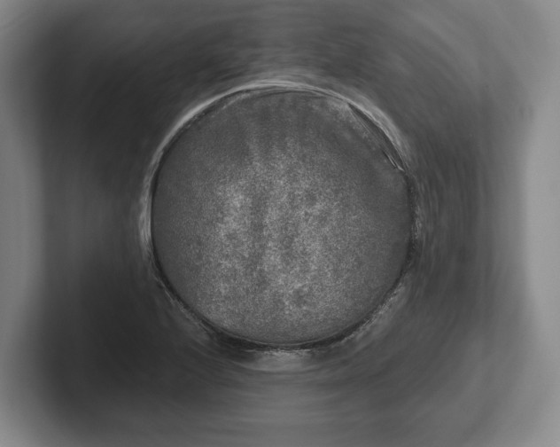 X0000102461224200808151400