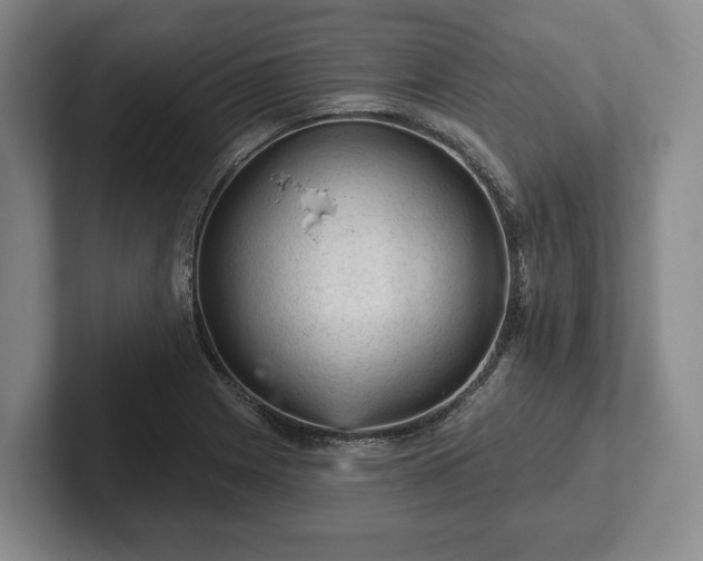 X0000102461225200808151400