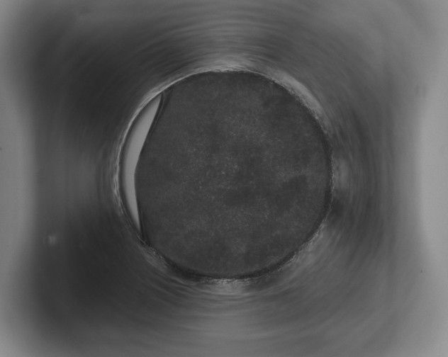 X0000102461226200808151400