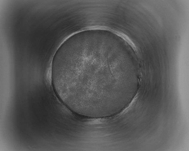 X0000102461228200808151400