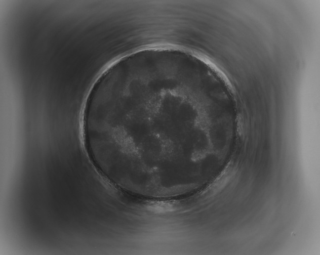 X0000102461229200808151400